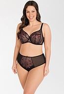 Soft cup bra, sheer mesh, embroidery, D to L-cup
